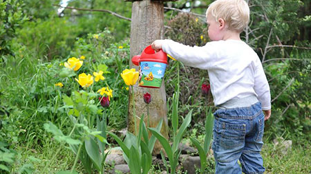 gardening-a