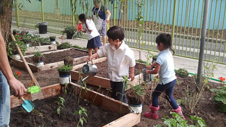 gardening-b