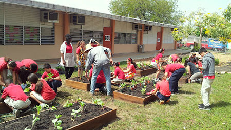 gardening-c