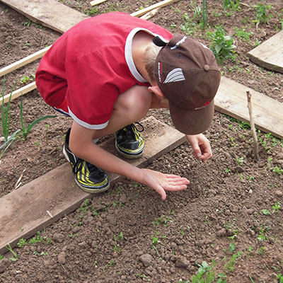 Gardening